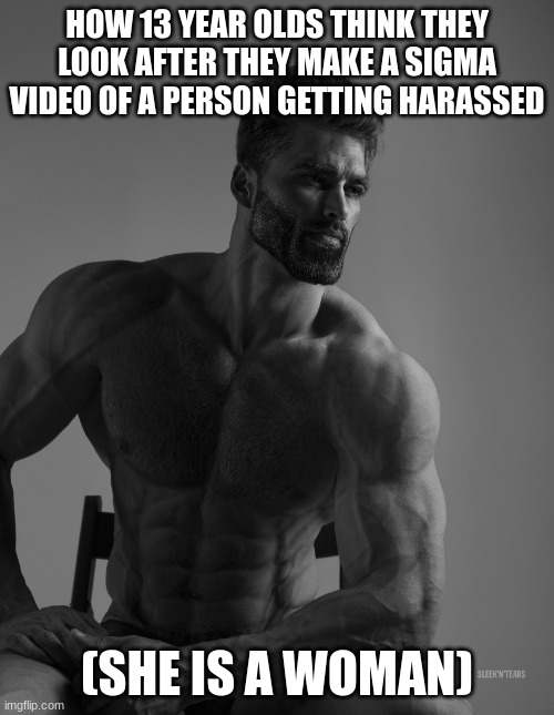 Giga Chad | HOW 13 YEAR OLDS THINK THEY LOOK AFTER THEY MAKE A SIGMA VIDEO OF A PERSON GETTING HARASSED; (SHE IS A WOMAN) | image tagged in giga chad | made w/ Imgflip meme maker