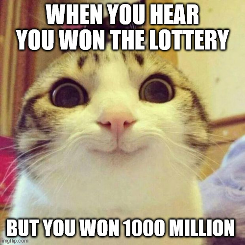 Lottery cat | WHEN YOU HEAR YOU WON THE LOTTERY; BUT YOU WON 1000 MILLION | image tagged in memes,smiling cat | made w/ Imgflip meme maker