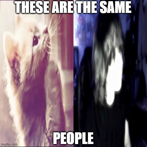 Me is cat | THESE ARE THE SAME; PEOPLE | image tagged in cat | made w/ Imgflip meme maker