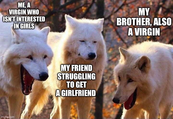 Trying to get a gf is a complete waste of time, not gonna lie | ME, A VIRGIN WHO ISN’T INTERESTED IN GIRLS; MY BROTHER, ALSO A VIRGIN; MY FRIEND STRUGGLING TO GET A GIRLFRIEND | image tagged in laughing wolf | made w/ Imgflip meme maker