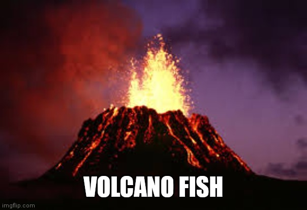 Uhh... | VOLCANO FISH | image tagged in hawaiian volcano | made w/ Imgflip meme maker