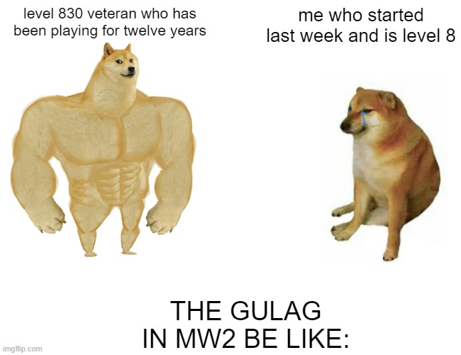 Buff Doge vs. Cheems | level 830 veteran who has been playing for twelve years; me who started last week and is level 8; THE GULAG IN MW2 BE LIKE: | image tagged in memes,buff doge vs cheems | made w/ Imgflip meme maker