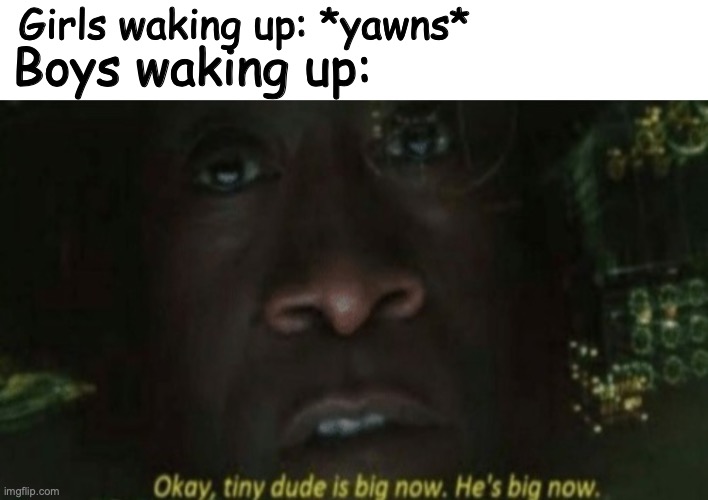 Relatable | Girls waking up: *yawns*; Boys waking up: | image tagged in okay tiny dude is big now he s big now,wiener,waking up,girls vs- boys | made w/ Imgflip meme maker