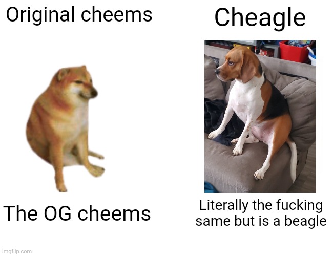 Buff Doge vs. Cheems Meme | Original cheems; Cheagle; The OG cheems; Literally the fucking same but is a beagle | image tagged in memes,buff doge vs cheems | made w/ Imgflip meme maker