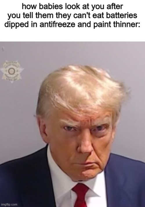 toddlers too | how babies look at you after you tell them they can't eat batteries dipped in antifreeze and paint thinner: | image tagged in donald trump mugshot,little stupid kids | made w/ Imgflip meme maker
