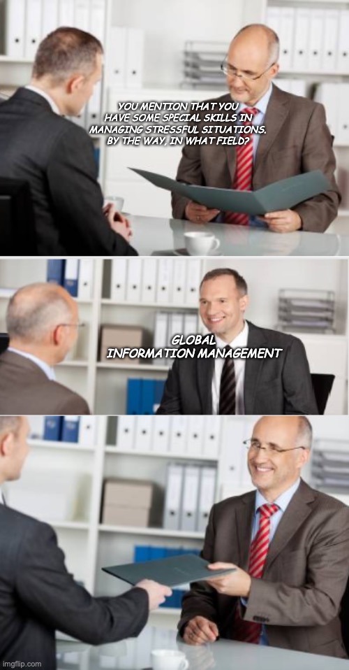 job | YOU MENTION THAT YOU HAVE SOME SPECIAL SKILLS IN MANAGING STRESSFUL SITUATIONS. BY THE WAY, IN WHAT FIELD? GLOBAL INFORMATION MANAGEMENT | image tagged in job interview | made w/ Imgflip meme maker