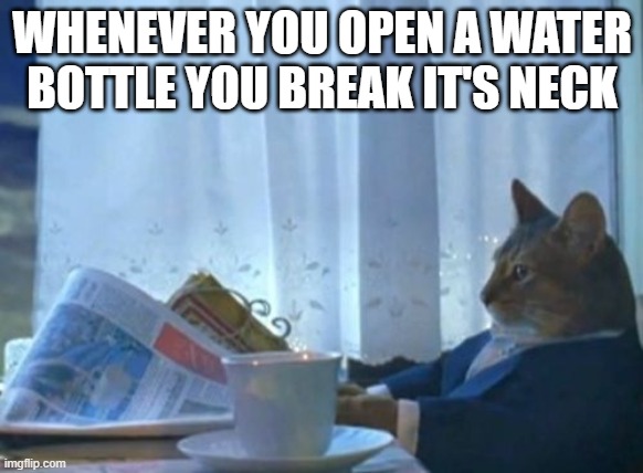 I Should Buy A Boat Cat | WHENEVER YOU OPEN A WATER BOTTLE YOU BREAK IT'S NECK | image tagged in memes,i should buy a boat cat | made w/ Imgflip meme maker