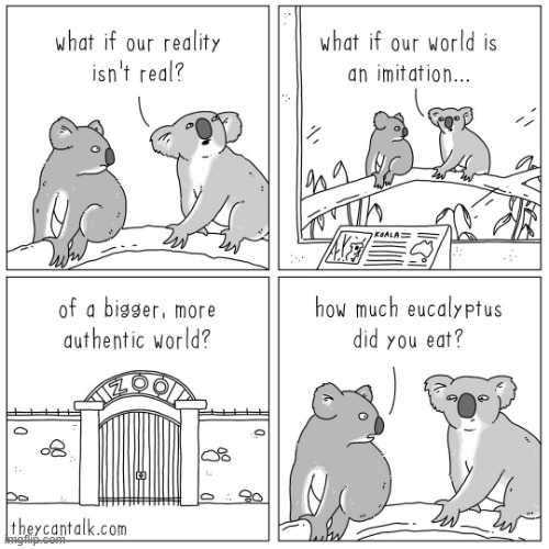Even koalas are making up shower thoughts :O | made w/ Imgflip meme maker