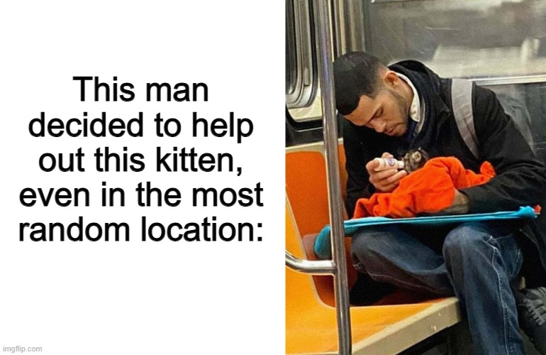 May many good things happen to him :) | This man decided to help out this kitten, even in the most random location: | image tagged in blank white template | made w/ Imgflip meme maker