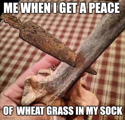 All us western bois | ME WHEN I GET A PEACE; OF  WHEAT GRASS IN MY SOCK | image tagged in funny | made w/ Imgflip meme maker