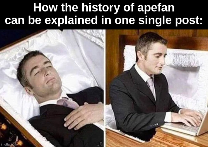 User Slander #21 | How the history of apefan can be explained in one single post: | image tagged in deceased man in coffin typing | made w/ Imgflip meme maker