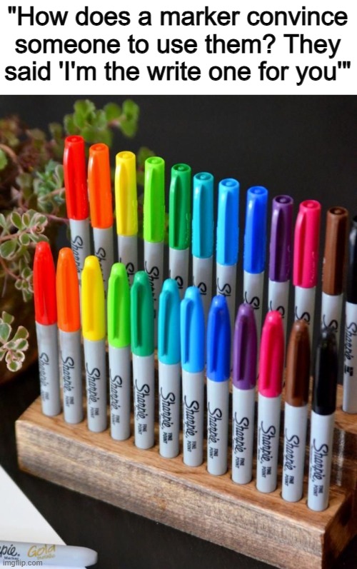 Lol XD | "How does a marker convince someone to use them? They said 'I'm the write one for you'" | made w/ Imgflip meme maker