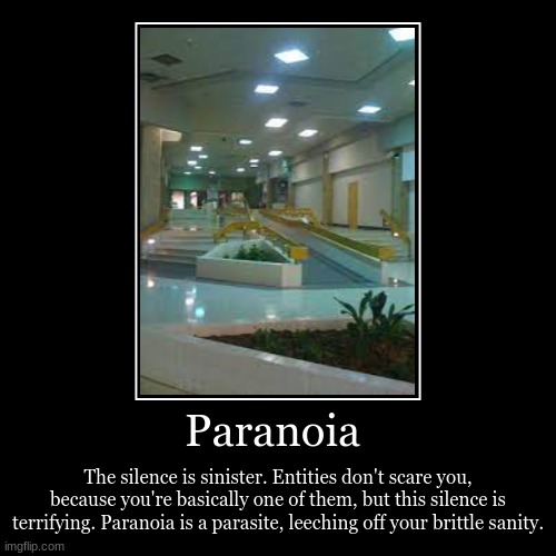 Paranoia | The silence is sinister. Entities don't scare you, because you're basically one of them, but this silence is terrifying. Paranoia | image tagged in funny,demotivationals | made w/ Imgflip demotivational maker
