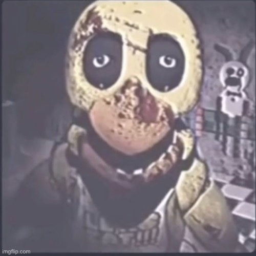 Funny bird | image tagged in funny bird | made w/ Imgflip meme maker