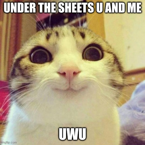 lol | UNDER THE SHEETS U AND ME; UWU | image tagged in memes,smiling cat | made w/ Imgflip meme maker