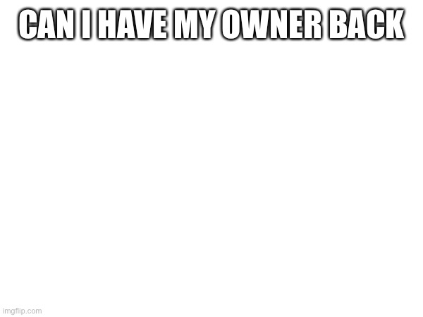 CAN I HAVE MY OWNER BACK | made w/ Imgflip meme maker