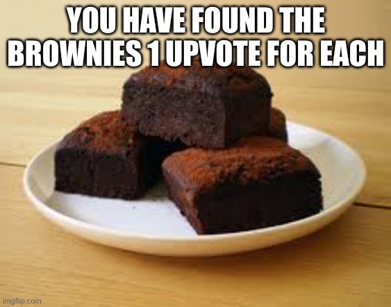 heres some brownies | YOU HAVE FOUND THE BROWNIES 1 UPVOTE FOR EACH | image tagged in brownie,have fun eating them | made w/ Imgflip meme maker