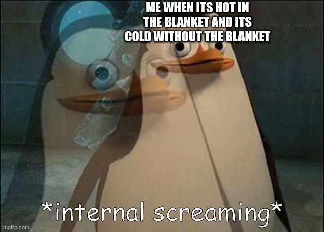 Private Internal Screaming | ME WHEN ITS HOT IN THE BLANKET AND ITS COLD WITHOUT THE BLANKET | image tagged in private internal screaming | made w/ Imgflip meme maker