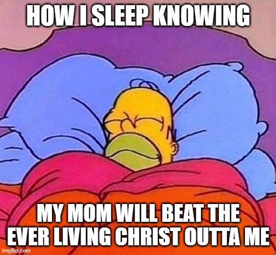 goof ass | HOW I SLEEP KNOWING; MY MOM WILL BEAT THE EVER LIVING CHRIST OUTTA ME | image tagged in homer simpson sleeping peacefully | made w/ Imgflip meme maker