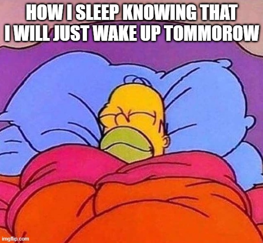 /srs | HOW I SLEEP KNOWING THAT I WILL JUST WAKE UP TOMMOROW | image tagged in homer simpson sleeping peacefully | made w/ Imgflip meme maker