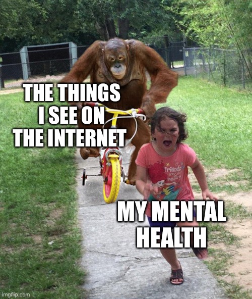 My mental health | THE THINGS I SEE ON THE INTERNET; MY MENTAL HEALTH | image tagged in orangutan chasing girl on a tricycle | made w/ Imgflip meme maker