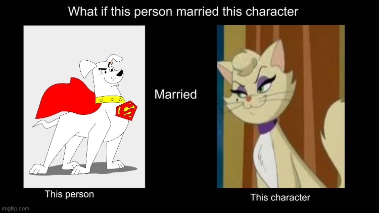 if krypto married delilah | image tagged in what if character married this character,warner bros | made w/ Imgflip meme maker