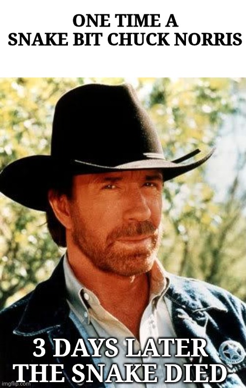 Chuck Norris | ONE TIME A SNAKE BIT CHUCK NORRIS; 3 DAYS LATER THE SNAKE DIED | image tagged in memes,chuck norris | made w/ Imgflip meme maker