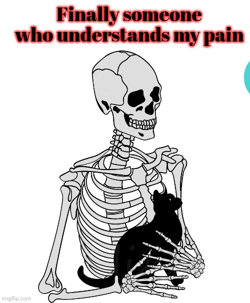 Only one month till spooktober | Finally someone who understands my pain | image tagged in skeleton,cat | made w/ Imgflip meme maker