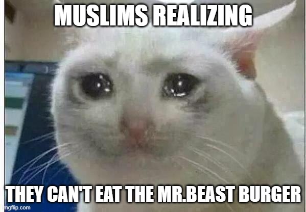 nooooooooo | MUSLIMS REALIZING; THEY CAN'T EAT THE MR.BEAST BURGER | image tagged in crying cat,memes,funny,funny memes,muslim,mrbeast | made w/ Imgflip meme maker