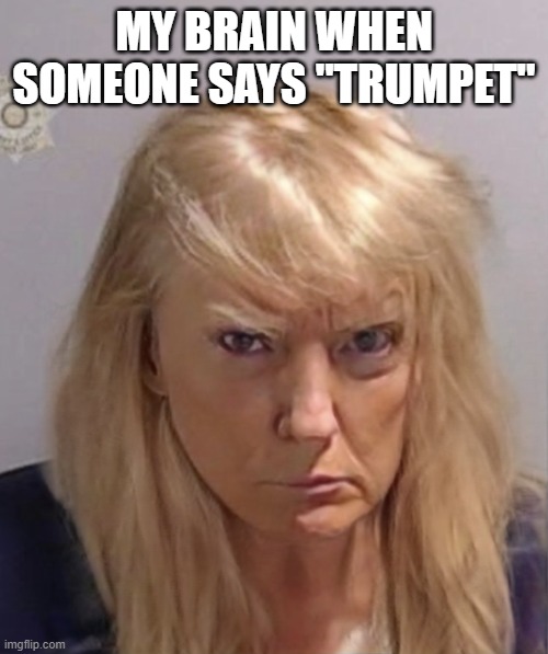 my brain | MY BRAIN WHEN SOMEONE SAYS "TRUMPET" | image tagged in trumpette mugshot | made w/ Imgflip meme maker