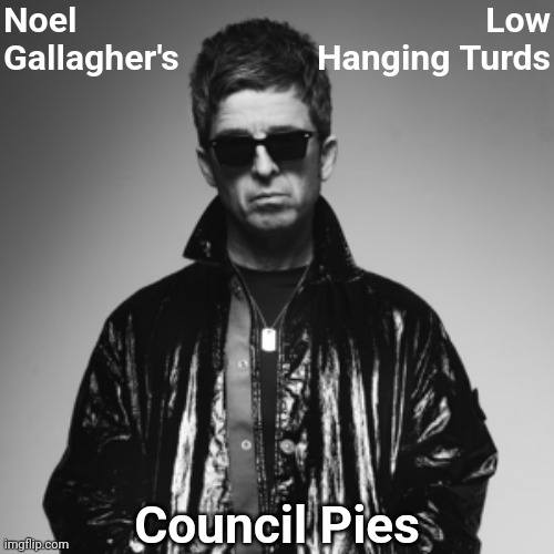 Noel Gallagher's Low Hanging Turds | Noel Gallagher's; Low Hanging Turds; Council Pies | image tagged in noel gallagher,oasis | made w/ Imgflip meme maker