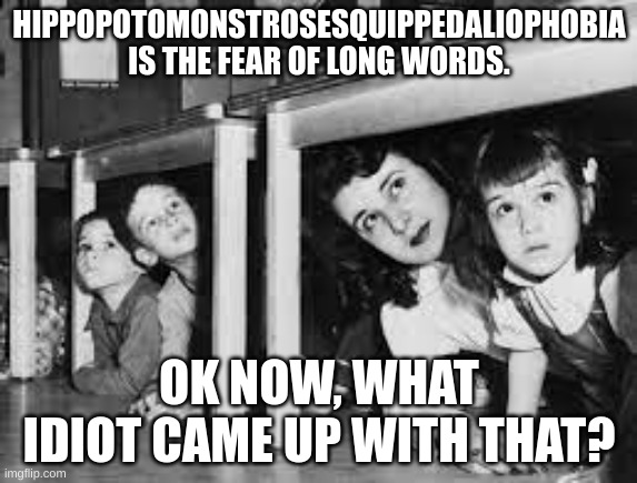 welcome to Mystery Monday! | HIPPOPOTOMONSTROSESQUIPPEDALIOPHOBIA IS THE FEAR OF LONG WORDS. OK NOW, WHAT IDIOT CAME UP WITH THAT? | image tagged in funny,memes,unsolved mysteries | made w/ Imgflip meme maker