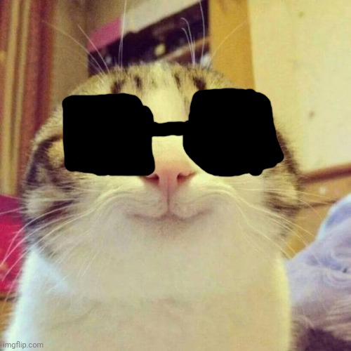 Cat with glasses | image tagged in memes,smiling cat | made w/ Imgflip meme maker