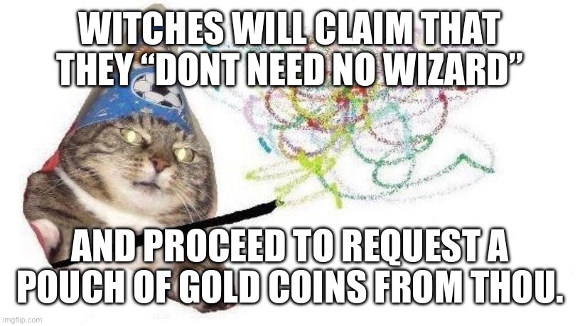 Wizard Cat | WITCHES WILL CLAIM THAT THEY “DONT NEED NO WIZARD”; AND PROCEED TO REQUEST A POUCH OF GOLD COINS FROM THOU. | image tagged in wizard cat | made w/ Imgflip meme maker