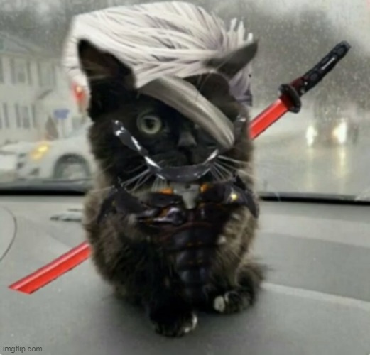 raidencat | image tagged in doktor turn off my cute inhibitors | made w/ Imgflip meme maker