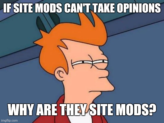 Logic | IF SITE MODS CAN'T TAKE OPINIONS; WHY ARE THEY SITE MODS? | image tagged in memes,futurama fry | made w/ Imgflip meme maker