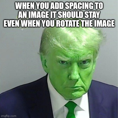 Donald Trump Mugshot | WHEN YOU ADD SPACING TO AN IMAGE IT SHOULD STAY EVEN WHEN YOU ROTATE THE IMAGE | image tagged in donald trump mugshot | made w/ Imgflip meme maker