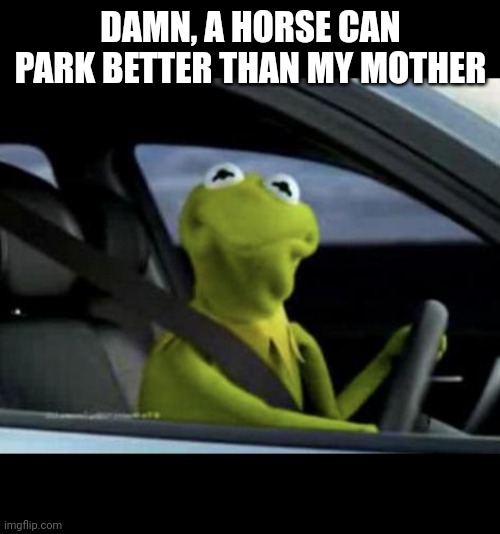 Kermit Driving | DAMN, A HORSE CAN PARK BETTER THAN MY MOTHER | image tagged in kermit driving | made w/ Imgflip meme maker