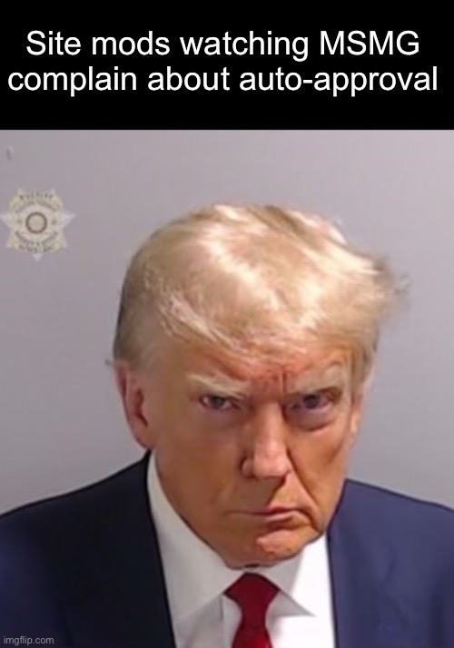 Donald Trump Mugshot | Site mods watching MSMG complain about auto-approval | image tagged in donald trump mugshot | made w/ Imgflip meme maker