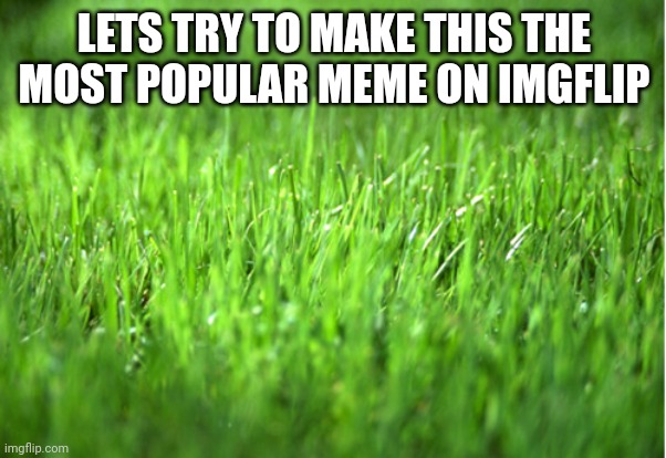 First comment gets a follow | LETS TRY TO MAKE THIS THE MOST POPULAR MEME ON IMGFLIP | image tagged in upvotes | made w/ Imgflip meme maker
