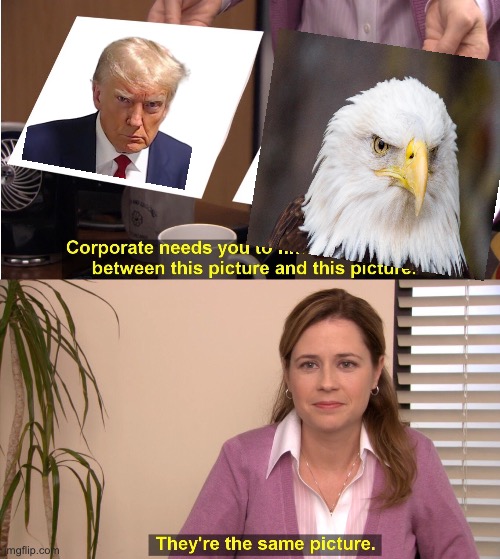 They're The Same Picture Meme | image tagged in memes,they're the same picture | made w/ Imgflip meme maker