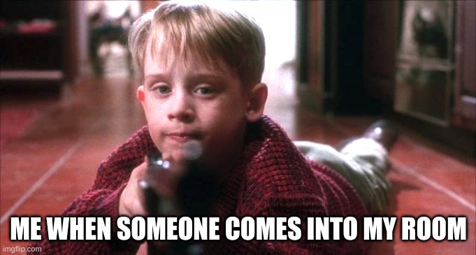 Home alone hello | ME WHEN SOMEONE COMES INTO MY ROOM | image tagged in home alone hello | made w/ Imgflip meme maker