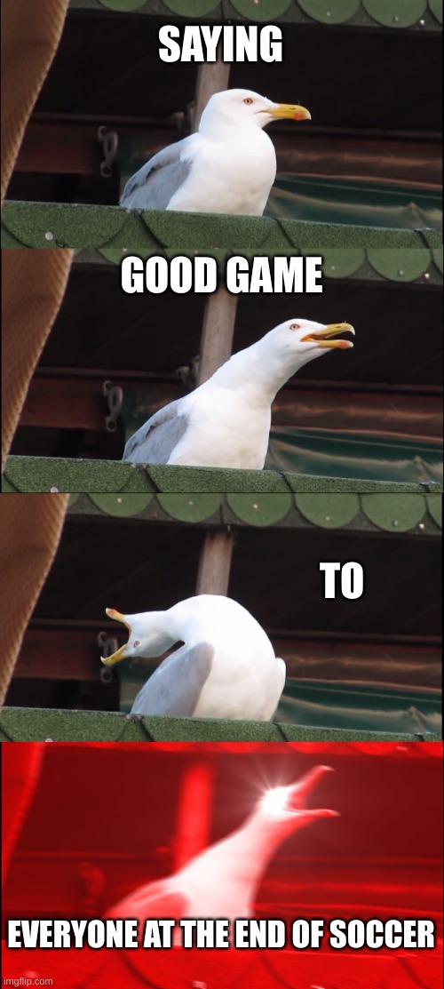 Inhaling Seagull | SAYING; GOOD GAME; TO; EVERYONE AT THE END OF SOCCER | image tagged in memes,inhaling seagull | made w/ Imgflip meme maker