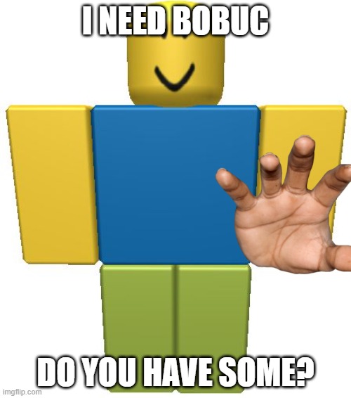 ROBLOX Noob | I NEED BOBUC; DO YOU HAVE SOME? | image tagged in roblox noob | made w/ Imgflip meme maker