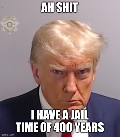 Trump Trouble | AH SHIT; I HAVE A JAIL TIME OF 400 YEARS | image tagged in donald trump mugshot | made w/ Imgflip meme maker