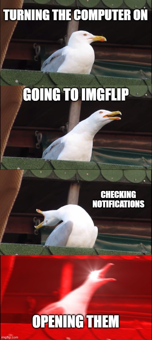 How I feel | TURNING THE COMPUTER ON; GOING TO IMGFLIP; CHECKING NOTIFICATIONS; OPENING THEM | image tagged in memes,inhaling seagull | made w/ Imgflip meme maker