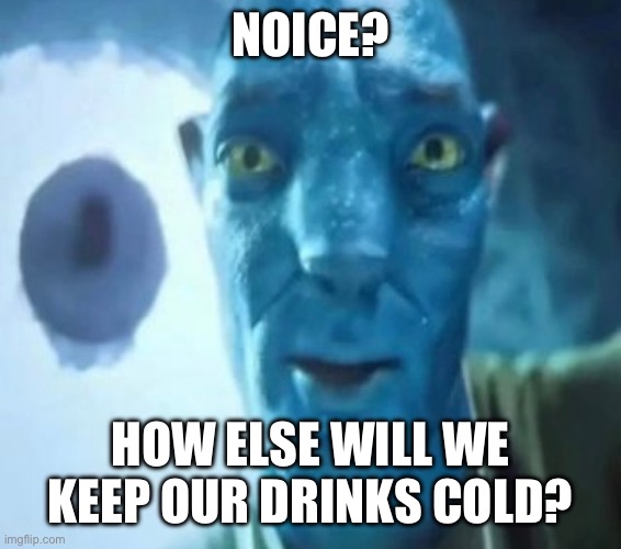 Avatar guy | NOICE? HOW ELSE WILL WE KEEP OUR DRINKS COLD? | image tagged in avatar guy | made w/ Imgflip meme maker