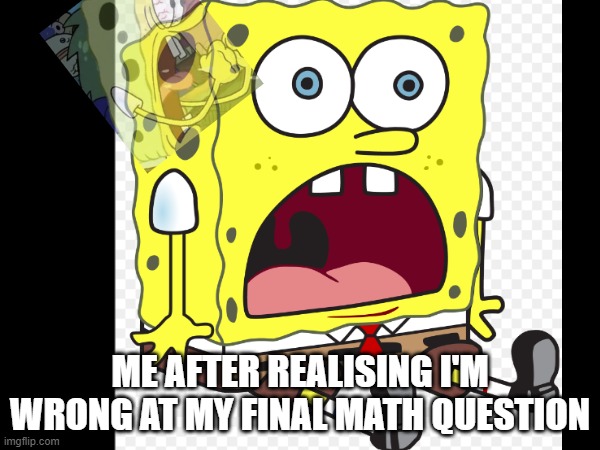 Bruh... | ME AFTER REALISING I'M WRONG AT MY FINAL MATH QUESTION | image tagged in funny meme | made w/ Imgflip meme maker