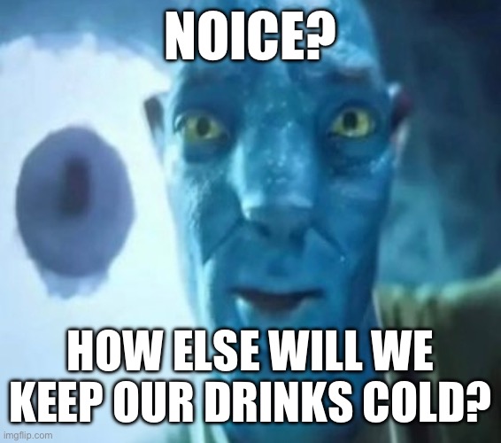 Avatar guy | NOICE? HOW ELSE WILL WE KEEP OUR DRINKS COLD? | image tagged in avatar guy | made w/ Imgflip meme maker