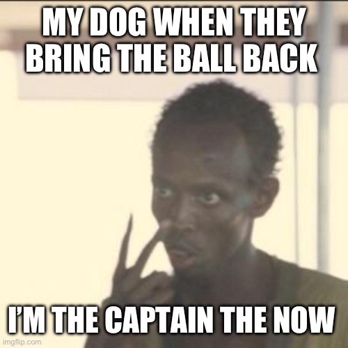 This is mine now | MY DOG WHEN THEY BRING THE BALL BACK; I’M THE CAPTAIN THE NOW | image tagged in memes,look at me,dog | made w/ Imgflip meme maker